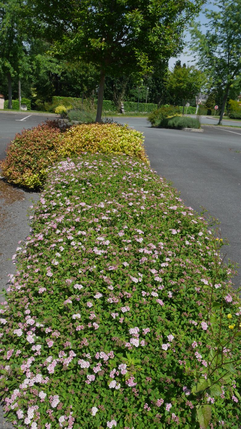 Paysage De Notre Commune - Mai 2020