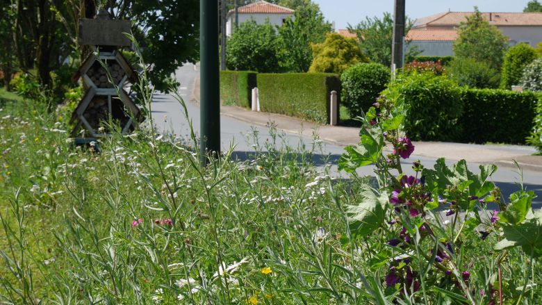 Paysage De Notre Commune - Mai 2020